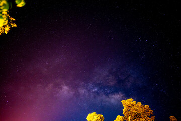 Stars milky way galaxy on nigth sky, milkyway is beauty nebula in universe, light stars on nature blue dark background  from telescope view and tree 