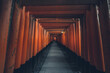 © David Cabrera/ADDICTIVE STOCK - Fushimi Inari Taisha with stone pathway surrounded by red Torii gates and illuminated by traditional lantern