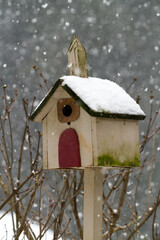 Wall Mural - a birdhouse on a post in a garden during a snow storm in Salem Oregon.