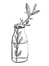 Vector Black White Contour Sketch Of Wild Flowers In The Vase. Flowers In Water 