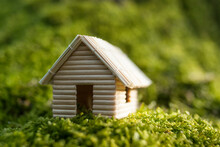 Miniature House (model), Made Of Toothpicks And Dry Grass. Photographed On The Wood Moss.