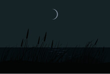 Night Landscape With Moon, Sea, Dunes, Grass