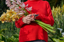 Older Woman Holding Fresh Cut Bouquet Of Flowers In Her Garden