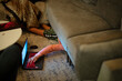 © Cavan Images - A 12-year old boy hides under couch while using a laptop computer