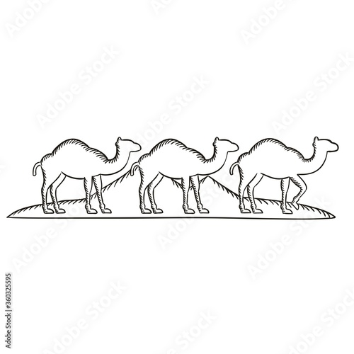 colorful camel animal icon illustration on white background Wallpaper Mural