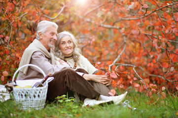 Canvas Print - Portrait of senior couple having picnic outdoors