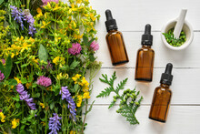 Dropper Bottles Of Essential Oil, Mortar And Medicinal Herbs On Wooden Board. Alternative Medicine.