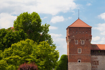 Wall Mural - Watchtower of the Royal Castle in Krakow (Poland)