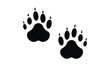 Cute pair of raccon paw prints