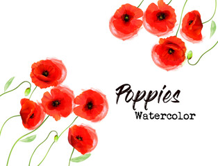 Poster - Nature background with a red watercolor poppy flowers. Vector.
