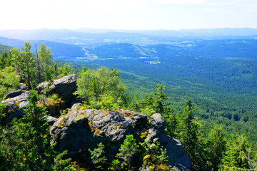 Wall Mural - view from the summit of a mount kleiner falkenstein in the national park bayerische wald, germany.