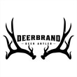 vintage deer brand logo  icon and template