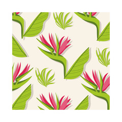 Wall Mural - heliconias plants tropical pattern background