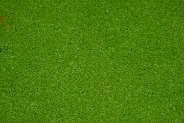 green grass background