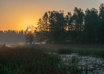  morning landscape with lake, green grass in the foreground, sunrise on the lake, summer