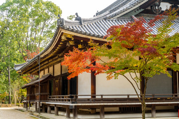 Wooden Buddhist Temple with traditional wooden carved roof and golden ornaments, among colorful autumn trees in Ninna-ji complex in Kyoto, Japan.