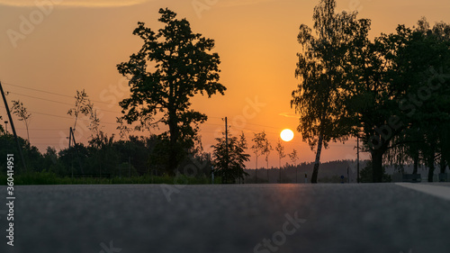 Cuadros en Lienzo sunrise landscape, dark tree silhouettes, paved road texture, contrasting colors