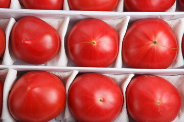 close up detailed top view background wallpaper shot of rows and lines of large tasty red ripe tomatoes in a white crate box