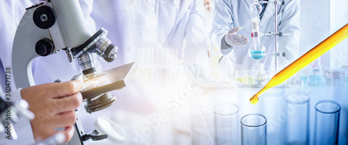 Fotomural scientist lab technical service observe liquid sample with lab glassware, microscope and test tubes in chemical laboratory background, science laboratory research and development concept