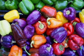 Sticker - Multicolored peppers for sale at the farmer's market