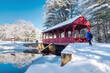 © romylee - Hiker walking in Stratton state park in the snow