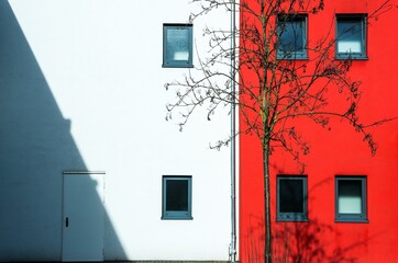 Canvas Print - Building with red and white facade and a dried tree near