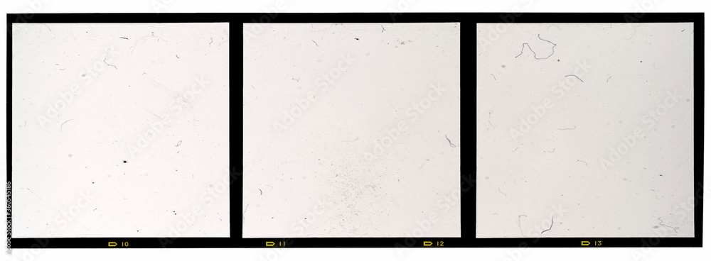 120mm middle or medium format analog film frame or strip on white background, real 6x6 frame scan, film grain
 - obrazy, fototapety, plakaty 