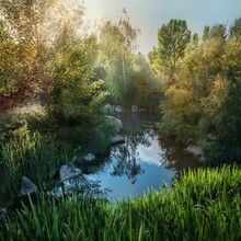 Beautiful Shot Of A Reflective Pond Under Sunlight