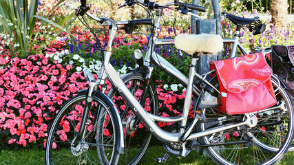 Two silver bicycles lean against a dense floral hedge of bright pink flowers and many colorful spring flowers on a very fresh and green lawn. The front wheel has a pink saddlebag and a white coat on t