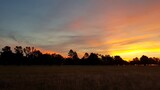 Fototapeta Sawanna - sunset in the field
