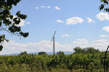 wind turbine in the field