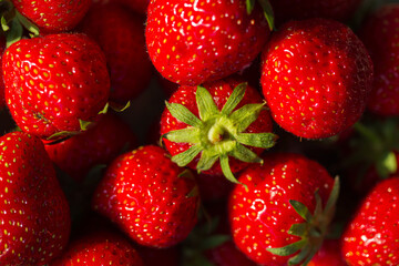 Wall Mural - Close-up of ripe red strawberries