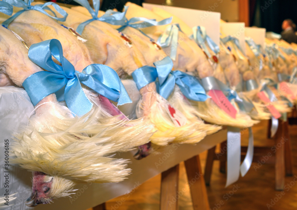 Concours de volailles fines en Bresse, à Pont-de-Vaux, Ain, France