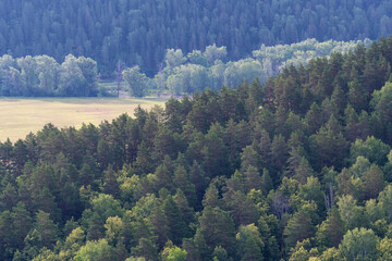 Wall Mural - Ural forest landscape. Aerial view of Bashkiria national park. Bashkortostan, Russia.