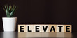 Elevate word written on wood block