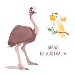 ostrich emu and cockatoo, isolated on a white background. Vector illustration of cute australian birds in cartoon style. Drawing, for printing on clothes, for children's books, cards, posters.