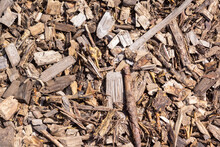  Wood Sawdust