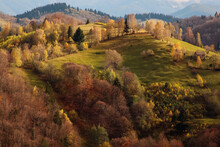 Colourful Trees In The Green Valley In Autumn. Nice Hill With Variety Of Trees In Different Colors. Amazing Nature.