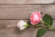 Two Pink Roses On Wood Background Free Stock Photo - Public Domain Pictures