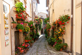 Fototapeta Uliczki - alleys of spello decorated with plants and characteristic flowers