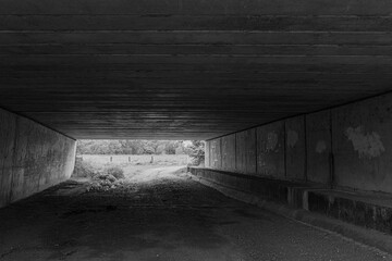  Tunnel under the M11 Motorway