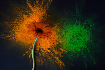 Wall Mural - Orange and green color powder splash. Concept for India independence day, 15th of august.