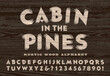 A Rustic Carved Wood Alphabet in the Style of a Backwoods Cabin Door or a Forest Service Sign