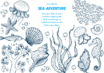 Wall Mural - Underwater world hand drawn collection. Sketch illustration. Seaweed, coral, seashells, starfish, jellyfish, fish illustration. Vintage design template. Undersea world collection.