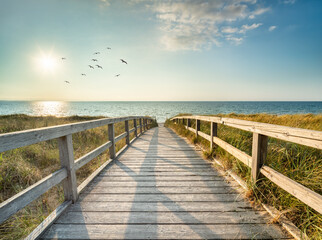Wall Mural - summer vacation at the north sea coast, germany