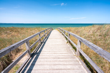 Wall Mural - summer vacation at the dune beach, north sea coast, germany