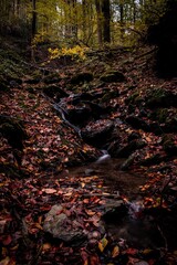 Poster - Vertical shot of a small waterfall in an autumnal forest