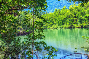 Mossman Gorge, Daintree National Park,