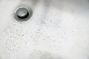 Sticker - Close up shot of a white sink stopper covered in short black hair