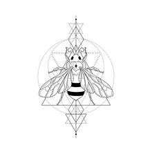 Abstract Black Honey Bee Vector Illustration And Line Art Logo Design Elements